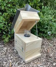 Honey Jar Hoop Pine Native Beehive OATH Box Stingless Australian Bee