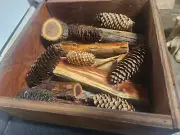 18 piece Nature Assortment- 6 cones 6 sticks 6 bark