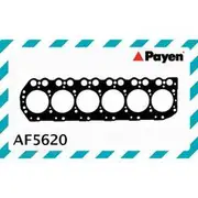 Payen Head Gasket - AF5620