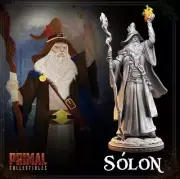 Solon Human Wizard Sorcerer Miniature Fits DND D&D Pathfinder War Game TTRPG