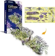 Piececool 3D DIY Metal Model Kit - Lavender Crane - Advanced Metal Model Kit for Teens & Adults