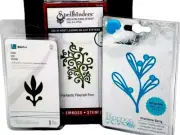 Leaf Die Cut Lot Botanical Flourish Vine Mistletoe Sprig Paper Cutting Templates