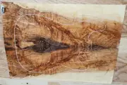 Spalted Maple Venus FLY TRAP Wood 0500 Luthier 5A Lumber 23x 17 x .312