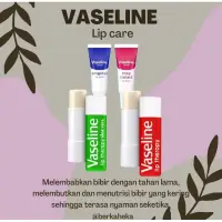 在飛比找蝦皮購物優惠-VASELINE 凡士林護唇系列