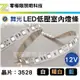 舞光【LED 低壓室內燈條】3528 軟條燈 12V 裸板燈 軟燈條 間接照明 櫥櫃燈 光帶 夾板【零極限照明 舞光經銷