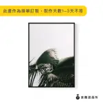 【菠蘿選畫所】盛夏時分-42X60CM(北歐/攝影/客廳掛畫/複製畫/居家裝飾/餐廳佈置/牆壁裝飾)