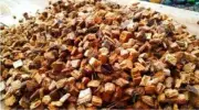 Coconut husk chips clean fiber orchids Anthurium growing medium free shipping