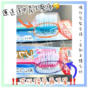 日本EBISU 牙刷 惠百施牙刷 W62寬頭牙刷 極細毛【不挑色出貨】