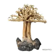 Bonsai Tree For Aquascape Driftwood Live Aquarium Plant Fish Tank Nano For Fish Shrimp Snail Tank Aquarium