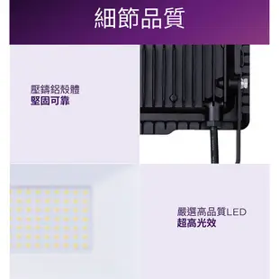 Philips 飛利浦 品繹 LED戶外投光燈 10W 30W 50W