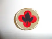 b8830 US Army 1930's-WW 2 43rd Infantry Division patch Khaki Red Wing PA14