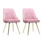 Artiss Set of 2 Dining Chairs Retro Chair Cafe Kitchen Modern Iron Legs Velvet P