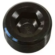 Aeroflow NPT Plug 1/8", AF932-02BLK-25