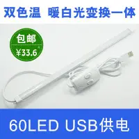 在飛比找Yahoo!奇摩拍賣優惠-創意雙色燈USB LED長條燈usb燈 usb檯燈 大學生宿