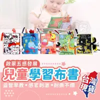 在飛比找PChome24h購物優惠-【檢驗合格】兒童學習布書 (耐撕不爛五款)【BE1361】