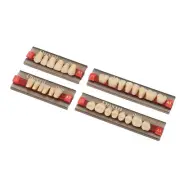 Dental Synthetic Resin Denture Tooth Professional Shade A3 425 False Teeth HGF