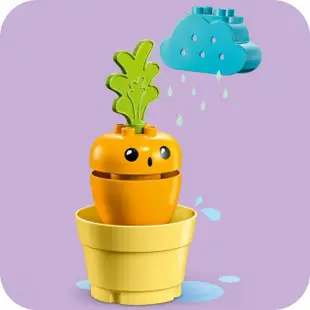 福利品【LEGO 樂高】得寶系列 10981 紅蘿蔔種植趣(啟蒙益智玩具 幼兒積木 DIY積木 農場玩具)
