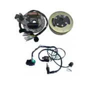 Ignition Magneto Stator & Flywheel 50/110cc 125cc 140 Lifan DHZ Atomik Dirt Bike