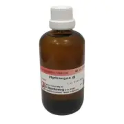 Dr. Reckeweg Hydrangea Mother Tincture Q (100 ML)