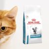 法國皇家-DR25 貓 低過敏配方乾糧 2.5kg