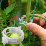 100PCS Trellis Tomato Clips Supports Connects Plants Vines Trellis Twine Cages