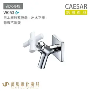 CAESAR 凱撒衛浴 W053 省水長栓 公共冷水龍頭 免運