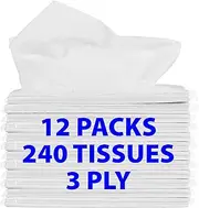 Car Tissue Refill - 12 Packs of 20, 3-Ply Tissues, Convenient Fill for Auto Visor or Cylinder Tissue Holders, Essential Car Visor Accessories, Great for Home, School, Travel, from Funwares