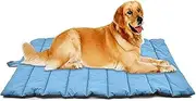 Beautiful Dog Cooling Mat Non Toxic Gel Ice Pads Cat Radiator Beds Washable Waterproof Cooling Pillow Cool Mat Keep Cool in Hot Weather for Dog Cat Kitten Puppy Blue (Color : Blue)