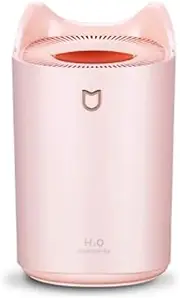 HUIJINCHAOSHI Humidifier， Bedroom Office Air Humidification, Silent Water Meter, Desktop Car Fog Purifier, The Best Gift USB humidifier (Color : Pink)