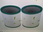 2x HEPA Filter For Dyson TP01 TP02 TP03 AM11 Air Purifier Replacement