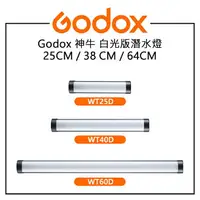 在飛比找樂天市場購物網優惠-EC數位 GODOX 神牛 25CM 38CM 64CM 白