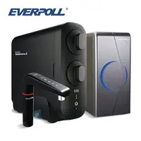 在飛比找樂天市場購物網優惠-EVERPOLL RO-800G直出RO淨水器 搭配EVB2