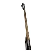 NS Design NXT5a Electric Upright Double Bass 5 String