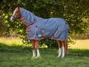 WeatherBeeta ComFiTec Essential Plus Detach-A-Neck Turnout Blanket (220g Medium)
