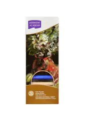 Derwent Academy Soft Pastels Blocks (Assorted) [Pack 12]
