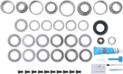 Differential Rebuild Kit-FSGR DANA Spicer 10024036