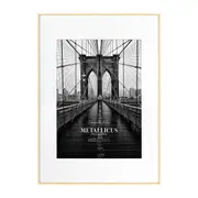 Cooper & Co. Platinum Metal Frame A1/A2