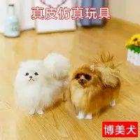 在飛比找蝦皮購物優惠-仿真博美 博美犬 白博美 黃博美 博美狗 黑博美 博美狗娃娃