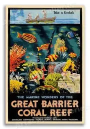 1933 Great Barrier Coral Reef Vintage Style Travel Poster - 20x30
