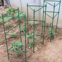 在飛比找樂天市場購物網優惠-西紅柿架花卉支架番茄支架庭院植物包塑鋼管葡萄架月季花支架陽台