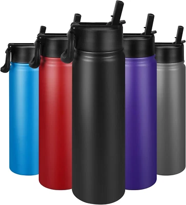 24 Oz Stainless Steel Insulated Water Bottle, Double Wall Thermos w/ Straw Lid