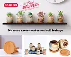 6pcs Mini Owl Plant Pots Ceramic Flowerpot Succulent Cacti Bonsai Planters Home