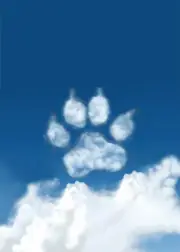 From Your First Hello Pet Loss Bereavement Sympathy Card with Greeting Card Enve