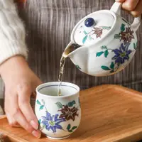 在飛比找ETMall東森購物網優惠-日本進口高檔茶具九谷燒陶瓷茶壺一壺兩杯功夫急須日式茶杯套裝