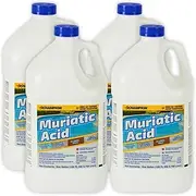 Champion Muriatic Acid for Swimming Pools & Spas - Lower's pH/pH Reducer for Pool Water Balancing - 4 Gallon