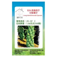 在飛比找momo購物網優惠-【蔬菜工坊】B26.長島抱子甘藍種子