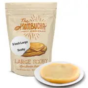 Kombucha SCOBY | Large Size | 5-Inch Thick SCOBY Mother for Easy Brewing of Komb