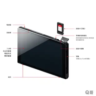 任天堂 Switch OLED 主機 紅藍 電光藍 電光紅 白色 台灣公司貨 原廠 主機 nintendo