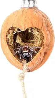 Daerky Jumping Spider Hide, A Real Shelter Made of Walnut Skin, Magnetic Hidden Jumping Spider Habitat,Handmade Spider Enclosure Accessories, Jumping Spider Enclosure