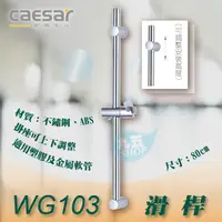 在飛比找蝦皮購物優惠-『九五居家』凱撒 CASER WG103 不鏽鋼滑桿 花灑柱